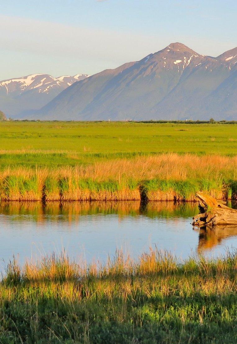 Potter Marsh Bird Sanctuary